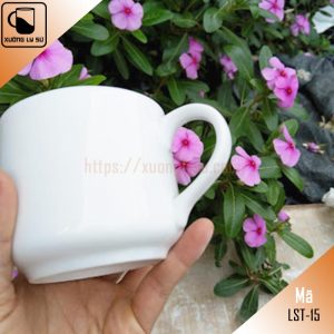 Ly Sứ Trắng Dáng Trụ Quai Tim Thấp